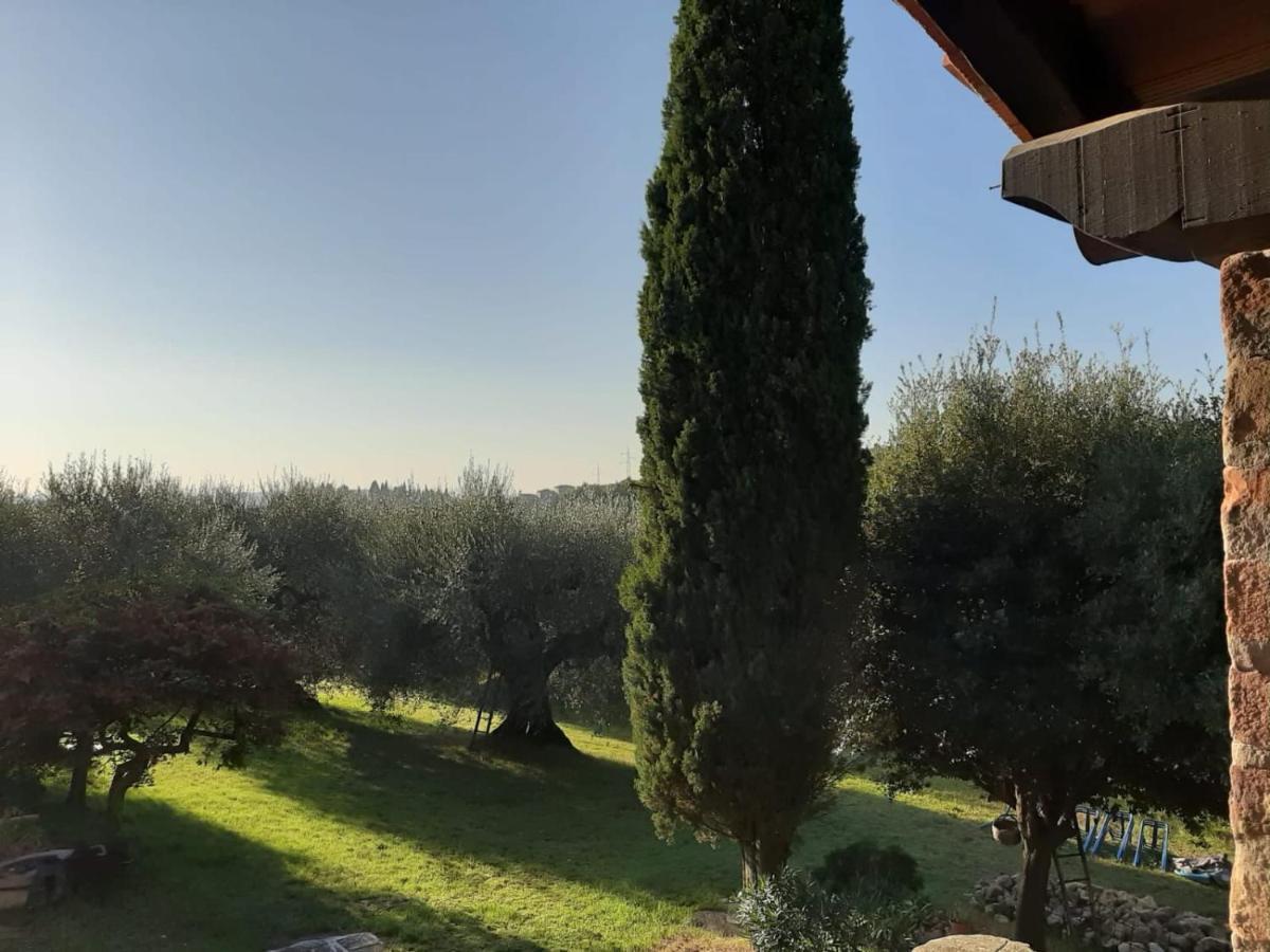 Montebello Degli Olivi Chiusi Luaran gambar