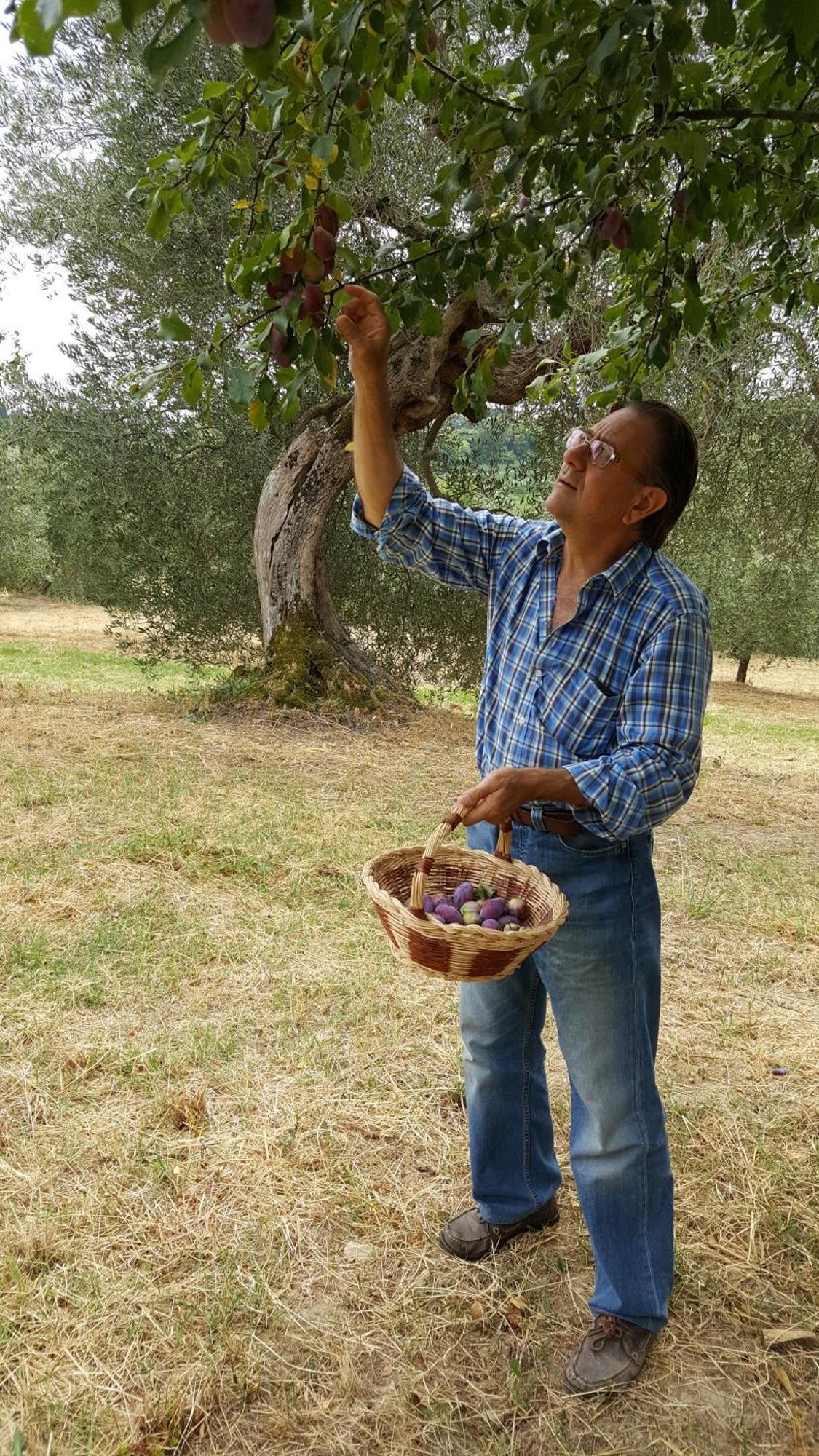 Montebello Degli Olivi Chiusi Luaran gambar