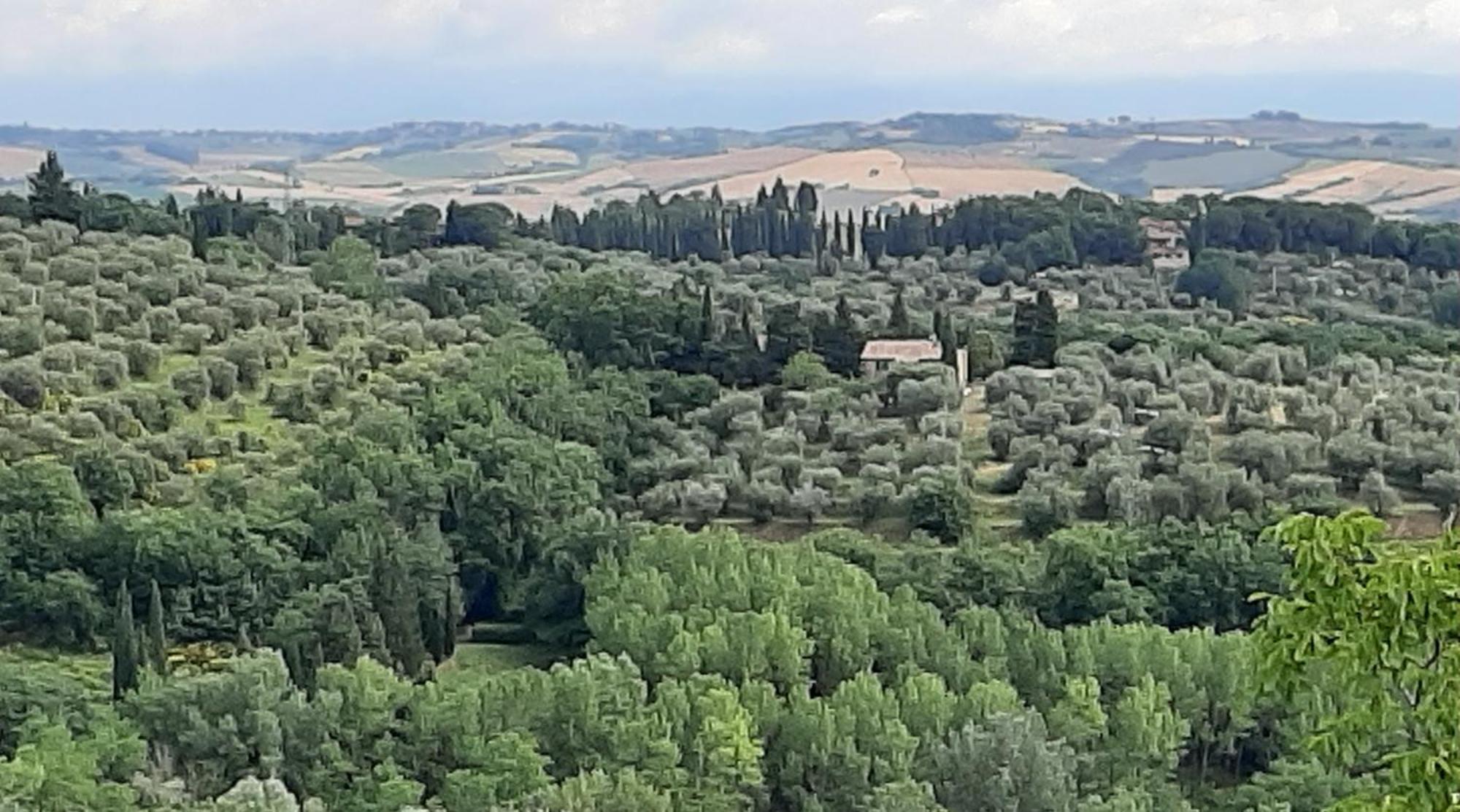 Montebello Degli Olivi Chiusi Luaran gambar